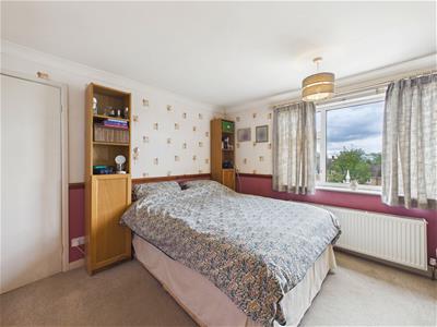 Picture 21
